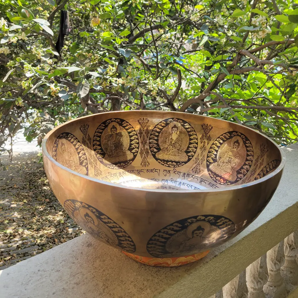 bigbowl18 (2).webp