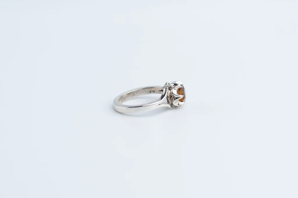 RUO42-CIT-3.webp
