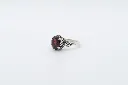 GAR2000006.webp