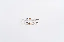 SLEG-ACG-150 w15.6 h63-5.webp